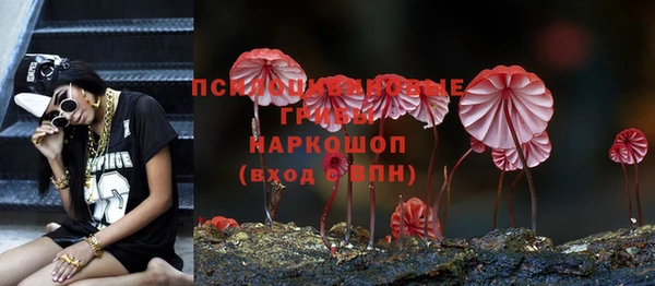 ешки Алексеевка