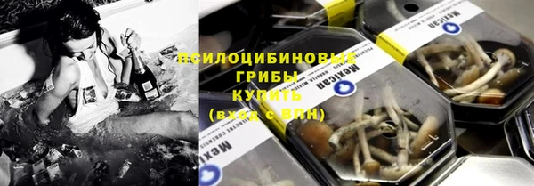 мдпв Алзамай