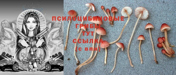 ешки Алексеевка